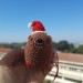 Christmas style Awawa wearing Xmas sweater, hat or reindeer, cute crochet Hyrax keychain, bag charm or rear view mirror car accessory