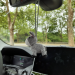 Crochet donkey charm, hanging car accessory for rear view mirror, keychain, backpack pendant
