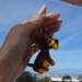 Cute brown dog for rear view mirror, car charm backpack keychain