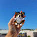 Cute Crochet Corgi Charm for Your Rear View Mirror Dog lover gift crochet keychain backpack pendants trucker present