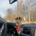 Deer car hanging crochet rear view mirror car charm