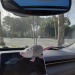 Rear view mirror opossum crochet cute accessory for car