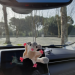 Sugar glider, possum, flying squirrel car charm for rear view mirror or keychain, backpack pendant