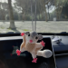 Sugar glider, possum, flying squirrel car charm for rear view mirror or keychain, backpack pendant
