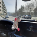 Sugar glider, possum, flying squirrel car charm for rear view mirror or keychain, backpack pendant
