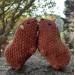 Crochet Rock Hyrax Plush | Chubby Awawa Plushie | Handmade Stuffed Animal | Cute Cozy Toy